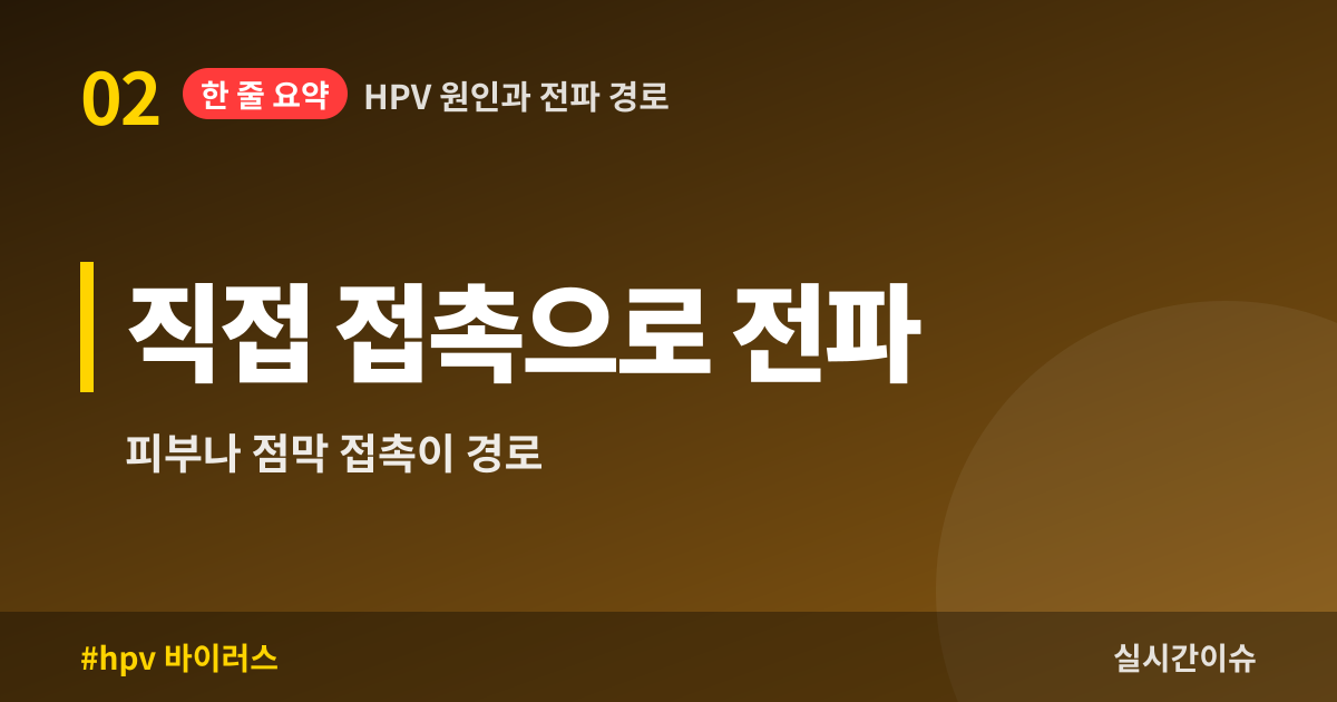 HPV 원인과 전파 경로